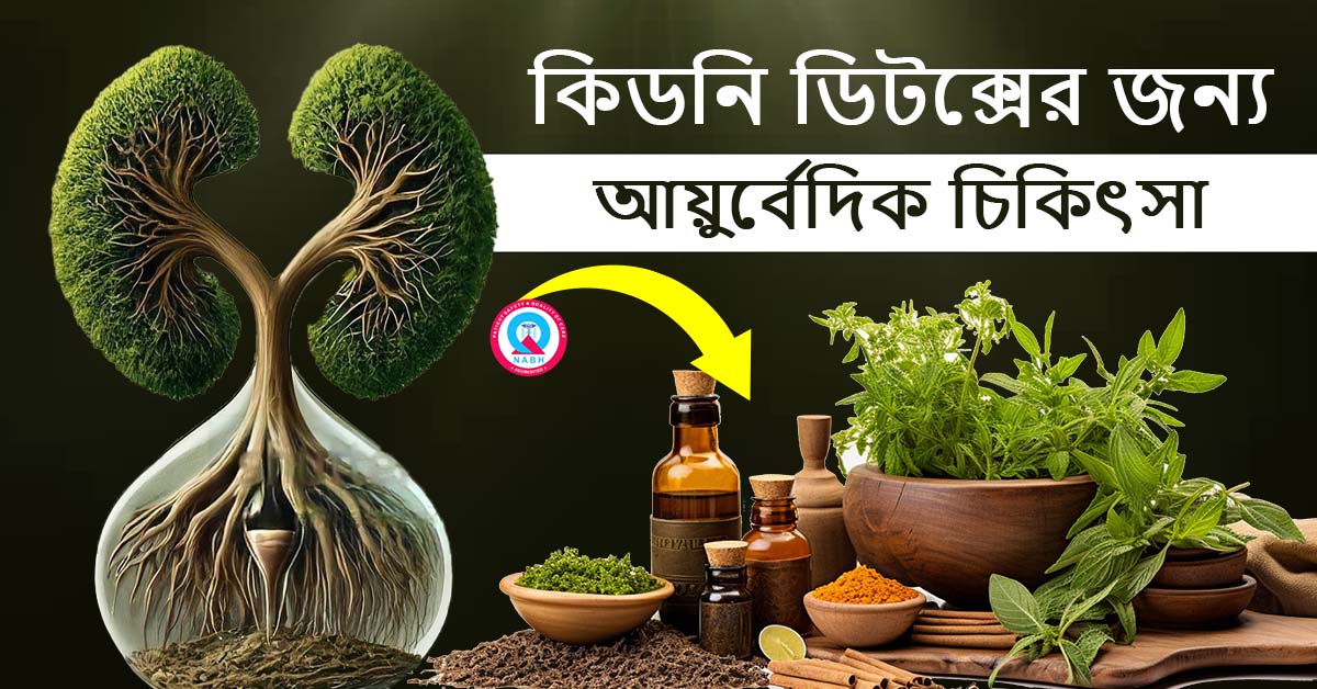 ayurvedic-treatment-for-kidney-detox